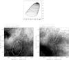 Thumbnail: Fig. 8 Refer to the following caption and surrounding text.