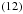 \hbox{$\left(12\right)$}