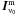 \hbox{$\vec{I}^{\rm m}_{\nuup_0}$}