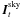 \hbox{$\I^{\rm{\rm sky}}_t$}