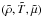 Mathematical equation: \hbox{$(\tilde\rho, \tilde T, \tilde\mu)$}