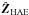 \appendix \setcounter{section}{1} \hbox{$\uvec{Z}_{\rm HAE}$}