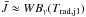 Mathematical equation: \appendix \setcounter{section}{2} \hbox{$\bar J \approx W B_{\nu} (T_{\rm rad,j1})$}