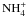 \hbox{${\rm NH}_{4}^{+}$}