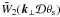 Mathematical equation: \hbox{$\tW_2(\vk_{\perp}\cD\theta_{\rm s})$}