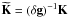 Mathematical equation: \hbox{${\bf \widetilde{K}}=(\delta {\bf g})^{-1} {\bf K}$}