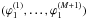 \hbox{$(\varphi_1^{(1)},\dots,\varphi_1^{(M+1)})$}