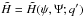 Mathematical equation: \hbox{$\tilde{H}=\tilde{H}(\psi ,\Psi ;q')$}