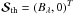 Mathematical equation: \hbox{$\bm{\mathcal S}_{\rm th}=(B_{\lambda},0)^T$}