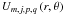 Mathematical equation: \hbox{${U_{m,j,p,q}\left(r,\theta\right)}$}