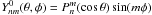 \hbox{$Y_{nm}^{\rm 0} (\theta, \phi) = P_{n}^{m} (\cos \theta) \sin (m \phi)$}