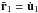 \hbox{$\tilde{\vec r}_1 = \dot{\vec u}_1$}