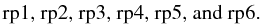 Mathematical equation: $$ \text{rp1, rp2, rp3, rp4, rp5, and rp6. } $$