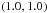 Mathematical equation: \hbox{$\left(1.0,1.0\right)$}