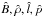 Mathematical equation: \hbox{$\hat{B}, \hat{\rho}, \hat{l}, \hat{p}$}