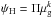 Mathematical equation: \hbox{$\psi_{\rm H}= \Pi \mu_{\rm g}^k$}