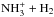 Mathematical equation: \hbox{$\rm NH_3^+ + H_2$}