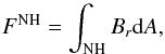 Mathematical equation: \begin{equation} F^{\mathrm{NH}}= \int_{\mathrm{NH}} B_r {\rm d}A, \end{equation}
