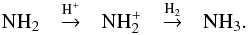 \begin{equation} \label{eq:NH3 formation path ice extra} {\rm NH_2 \quad{\mathop{\rightarrow}\limits^{H^+}}\quad NH_2^+ \quad{\mathop{\rightarrow}\limits^{H_2}}\quad NH_3}. \end{equation}