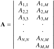 \begin{eqnarray} \label{eq11} \mathbf{A} = \left| \begin{array}{cc} A_{1,1} & A_{1,M} \\ A_{2,2} & A_{2,M} \\ A_{3,3} & A_{3,M} \\ \cdot & \cdot \\ \cdot & \cdot \\ A_{N,N} & A_{N,M} \\ & A_{M,M} \end{array} \right| \end{eqnarray}