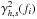 \hbox{$\gamma^2_{h,s} (f_i)$}