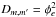 \hbox{$D_{m,m'}= \phi_e^2$}