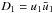 Mathematical equation: \hbox{$D_1 = u_1\bar{u}_1$}
