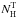 \hbox{$N_{\mathrm{H}}^{\mathrm{T}}$}