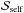 \hbox{$\mathcal{S}_{\mathrm{self}}$}