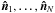 Mathematical equation: \hbox{$\vec{\hat{n}}_1, \ldots,\vec{\hat{n}}_{N}$}