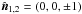 Mathematical equation: \hbox{$\nnn_{1,2}=(0,0,\pm1)$}
