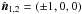 Mathematical equation: \hbox{$\nnn_{1,2}=(\pm1,0,0)$}