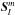 \hbox{$\vec{S}_l^m$}