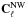 \hbox{${\mathbf C}_{\ell}^{\rm NW}$}