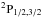 \hbox{$^2\rm P_{1/2,3/2}$}