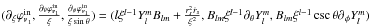 \hbox{$( {{\partial _\xi }\varphi _{{{\bm{v}}_1}}^{{\text{in}}},\frac{{{\partial _\theta }\varphi _{{{\bm{v}}_1}}^{{\text{in}}}}}{\xi },\frac{{{\partial _\phi }\varphi _{{{\bm{v}}_1}}^{{\text{in}}}}}{{\xi \sin \theta }}} ) = ( {l{\xi ^{l - 1}}Y_l^m{B_{lm}} + \frac{{r_s^2{{\dot r}_s}}}{{{\xi ^2}}},{B_{lm}}{\xi ^{l - 1}}{\partial _\theta }Y_l^m,{B_{lm}}{\xi ^{l - 1}}\csc \theta {\partial _\phi }Y_l^m} )$}
