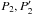 \hbox{$P_2,P_2'$}