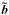 \hbox{$\vec{\tilde b}$}