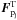 \hbox{${\vec{F}^{\rm T}_{\pj}}$}