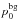 \hbox{$p_0^{\rm bg}$}