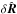 \hbox{$\delta \hat{\vec{R}}$}
