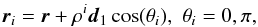 Mathematical equation: \begin{equation} \vec{r}_i = \vec{r} + \rho^{i}\dvec_1\cos(\theta_i),\,\, \theta_i =0,\pi, \end{equation}