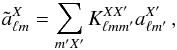Mathematical equation: \begin{eqnarray} \tilde{a}^X_{\ell m} = \sum_{m'X'}K_{\ell mm'}^{XX'}a^{X'}_{\ell m'} \,, \end{eqnarray}