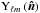 Mathematical equation: \hbox{$\textrm{Y}_{\ell m}\left(\vn\right)$}