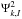 Mathematical equation: \hbox{$\Psi_{k,I}^2$}