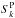 \hbox{$S^\text{P}_k$}