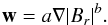 \begin{equation} \mathbf{w} = a\nabla |B_r|^b. \label{eq:deRosaParam} \end{equation}