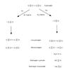 Thumbnail: Fig. 4 Refer to the following caption and surrounding text.