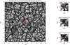 Thumbnail: Fig. 10 Refer to the following caption and surrounding text.