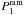 Mathematical equation: \hbox{$P^{\mathrm{ram}}_{1}$}